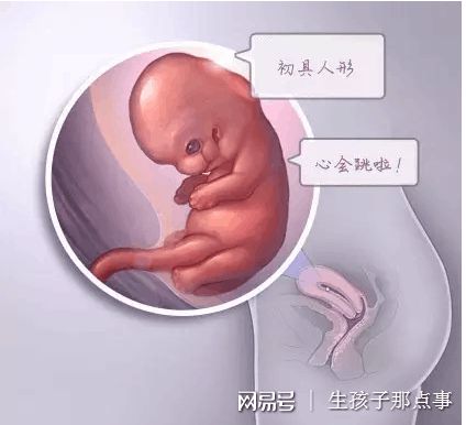 供卵代孕咨询公司